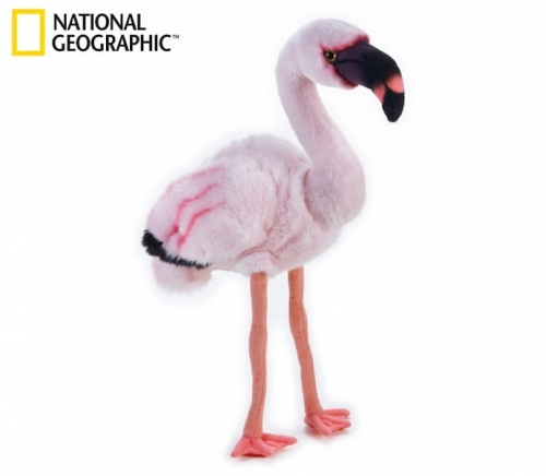 Zdjęcie National Geographic maskotka Flaming - producenta DANTE