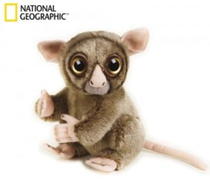 Zdjęcie National Geographic maskotka Wyrak - producenta DANTE