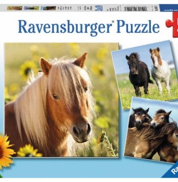 Zdjęcie Puzzle 3x49el Kochane Konie RAVENSBURGER - producenta RAVENSBURGER