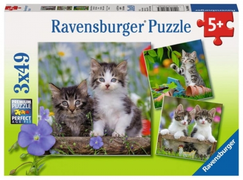 Zdjęcie Puzzle 3x49el - Kocięta - Ravensburger - producenta RAVENSBURGER